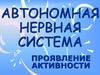 Автономная нервная система. Проявление активности