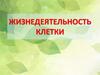 Жизнедеятельность клетки