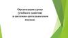 Организация урока (учебного занятия) в системно-деятельностном подходе
