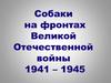 Собаки на фронтах Второй Мировой войны
