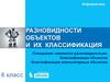 Разновидности объектов и их классификация