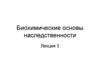 Биохимические основы наследственности
