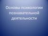 Психология познавательной деятельности