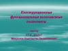 Конструкционные функциональные волокнистые композиты
