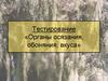Органы осязания, обоняния, вкуса