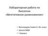 Лабораторная работа по биологии «Вегетативное размножение»