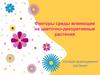 Факторы среды влияющие на цветочно-декоративные растения. Условия выращивания растений