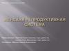 Женская репродуктивная система