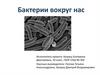 Бактерии вокруг нас