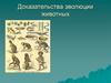 Доказательства эволюции животных