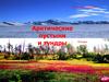 Арктические пустыни и тундры