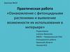 Ознакомление с фитонцидными растениями и выявление возможности их использования в интерьере. Практическая работа