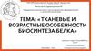 Тканевые и возрастные особенности биосинтеза белка