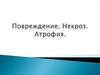 Повреждение. Некроз. Атрофия