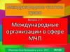 Международные организации в сфере МЧП
