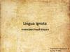 Lingua Ignota - «неизвестный язык»