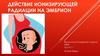 Действие ионизирующей радиации на эмбрион
