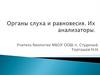 Органы слуха и равновесия. Их анализаторы