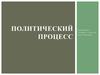 Политический процесс. Понятие политический процесс
