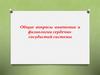 Общие вопросы анатомии и физиологии сердечно-сосудистой системы