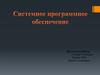 Системное программное обеспечение