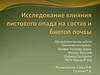 Исследование влияния листового опада на состав и биотоп почвы