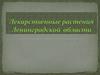 Лекарственные растения Ленинградской области