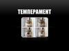 Темперамент