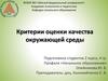 Критерии оценки качества окружающей среды