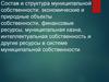 Состав и структура муниципальной собственности