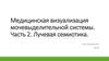 Медицинская визуализация мочевыделительной системы. Часть 2. Лучевая семиотика