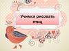 Учимся рисовать птиц