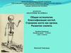 Общая остеология. Классификация костей. Строение кости как органа. Развитие скелета