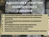 Идеология в структуре политического сознания