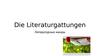 Die Literaturgattungen. Литературные жанры