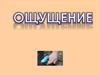 Ощущение. Познавательные психические процессы