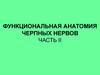 Функциональная анатомия черепных нервов. Часть II