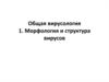 Морфология и структура вирусов