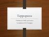 Терроризм. Основные типы терроризма