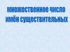 Множественное число имен существительных