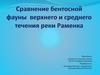 Сравнение бентосной фауны верхнего и среднего течения реки раменка
