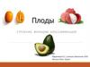 Плоды. Строение. Функции. Классификация