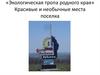 «Экологическая тропа родного края». Красивые и необычные места поселка