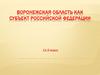 Воронежская область как субъект Российской федерации
