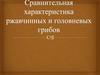 Ржавчинные и головневые грибы