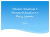 Общие сведения о Microsoft Excel 2010. Ввод данных