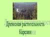Древесная растительность Карелии