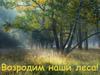 Сохранение и восстановление лесов