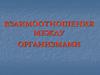 Взаимоотношения между организмами