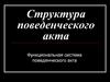 Структура поведенческого акта. Функциональная система поведенческого акта